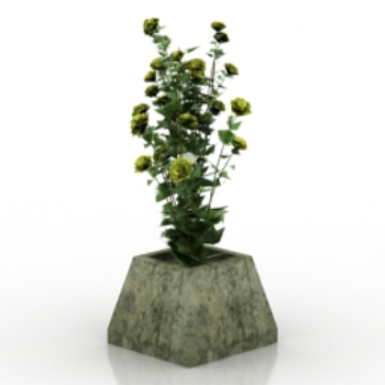 3d modelos Wildflowers Bonsai