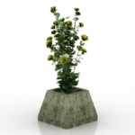 3d modelos Wildflowers Bonsai
