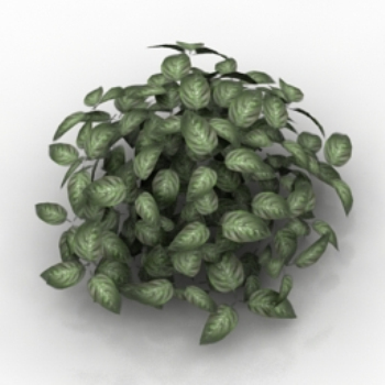 exuberante hierba modelo 3d