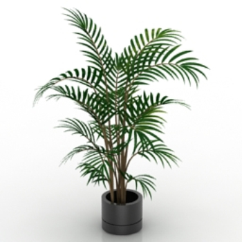 Modelo simple 3d bonsai