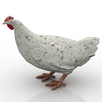 modelos de gallina blanca