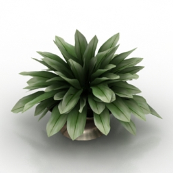modelo de olla
