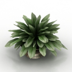 modelo de olla