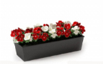 Las plantas en maceta modelo 3D representaciones de diseño