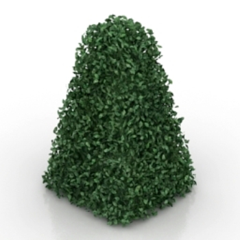 modelo verde