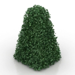 modelo verde