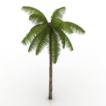 modelo de coco playa
