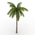 modelo de coco playa