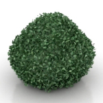 modelo arbusto verde