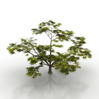 modelo de vegetacin natural