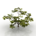 modelo de vegetacin natural