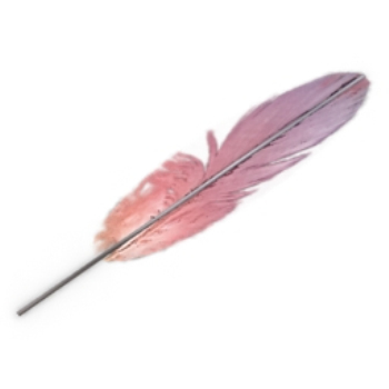 modelo rosado de la pluma