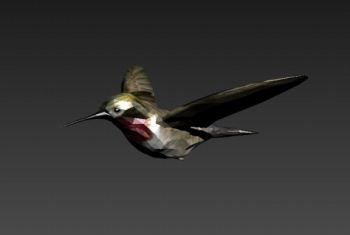 3d modelos Jay