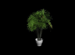 Verde de modelos 3D