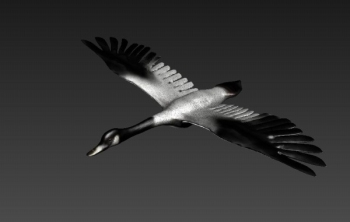 Alas abiertas del modelo cisne 3D