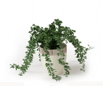 Planta en maceta verde modelo en 3D
