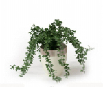 Planta en maceta verde modelo en 3D