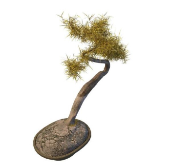 Al aire libre modelo bonsai confera amarillo