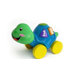 Colorido poco tortuga juguetes modelo 3d