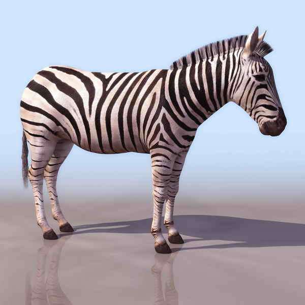 Descarga gratis 3D Modelos!