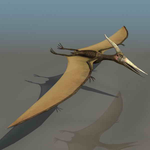 Descarga gratis 3D Modelos!