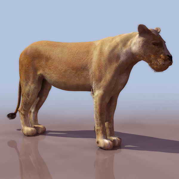 Descarga gratis 3D Modelos!