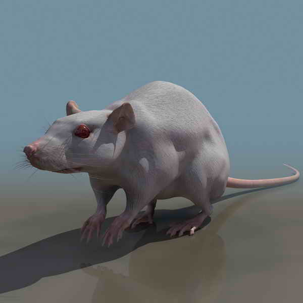 Descarga gratis 3D Modelos!