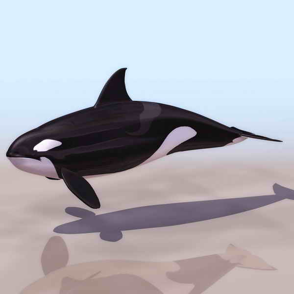 Descarga gratis 3D Modelos!