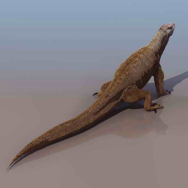 Descarga gratis 3D Modelos!
