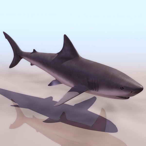 Descarga gratis 3D Modelos!
