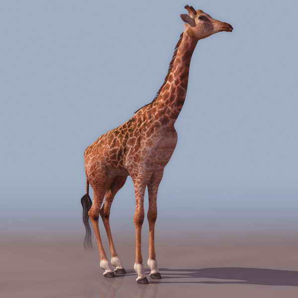 Descarga gratis 3D Modelos!