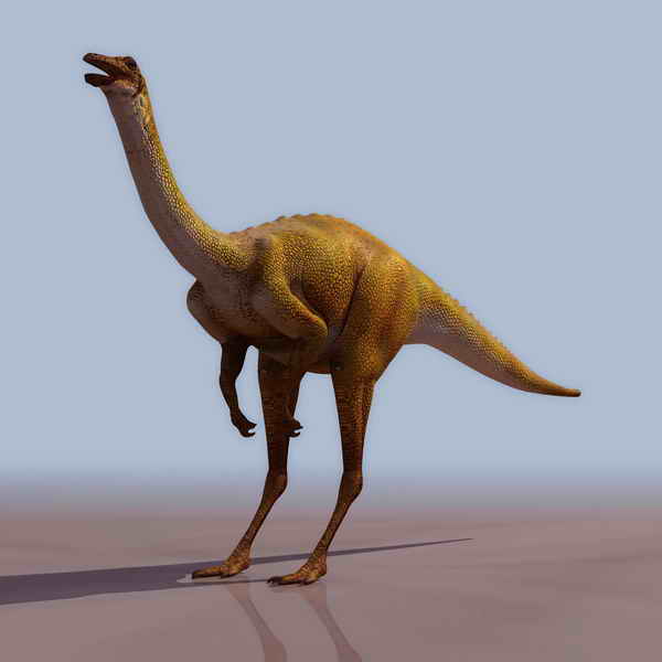 Descarga gratis 3D Modelos!
