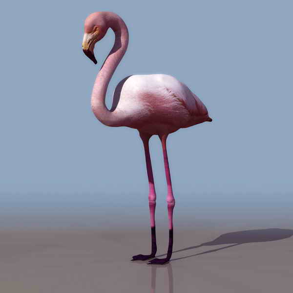 Descarga gratis 3D Modelos!