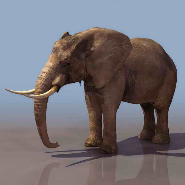 Descarga gratis 3D Modelos!