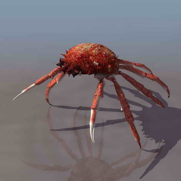 Descarga gratis 3D Modelos!