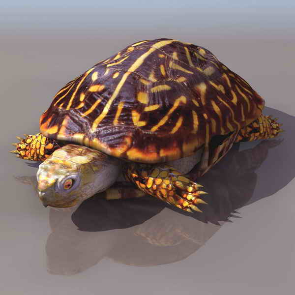 Descarga gratis 3D Modelos!