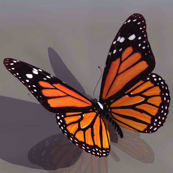 Descarga gratis 3D Modelos!