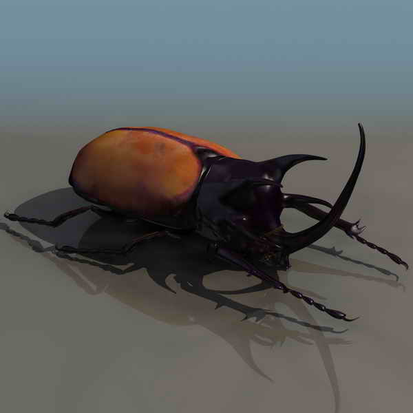 Descarga gratis 3D Modelos!