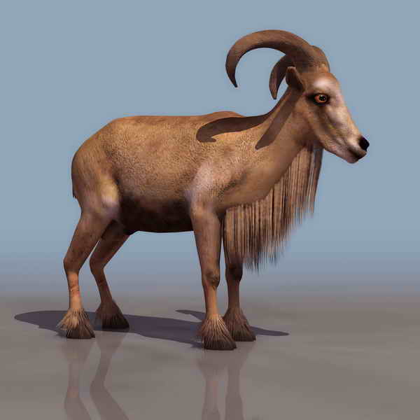 Descarga gratis 3D Modelos!