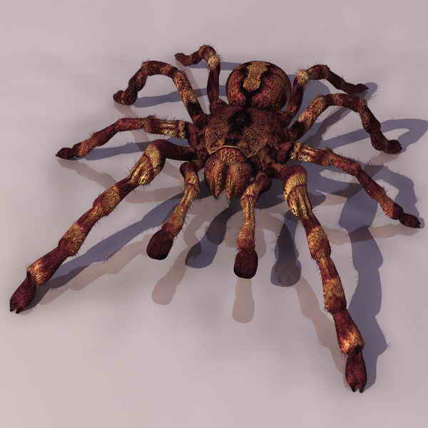 Descarga gratis 3D Modelos!