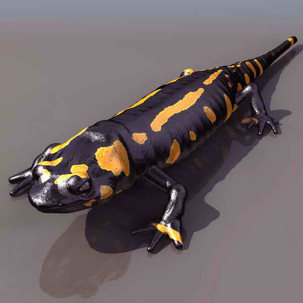 Descarga gratis 3D Modelos!