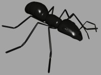 2 juegos Hormigas animales