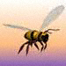 abejas, los animales 50-2