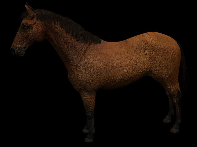 Descarga gratis 3D Modelos!