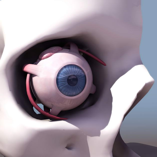 Descarga gratis 3D Modelos!