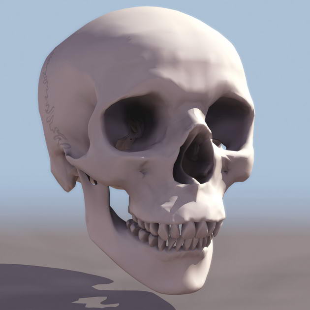 Descarga gratis 3D Modelos!