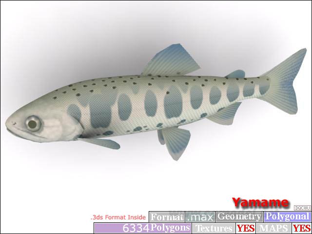 Descarga gratis 3D Modelos!