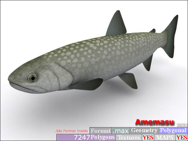 Descarga gratis 3D Modelos!