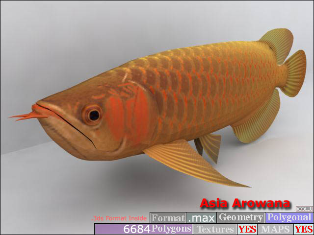 Descarga gratis 3D Modelos!