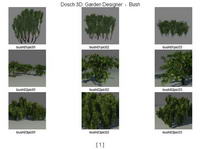 Jardn rboles / bosques